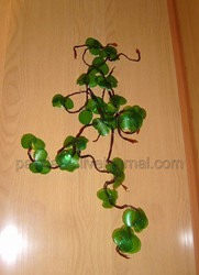 Плющ домашний из пластиковых бутылок