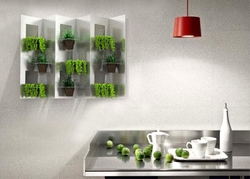 Вертикальный сад из одноразовых стаканчиков