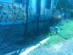 Подвесной палисадник из пластиковых бутылок