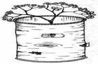 вазы под цветы