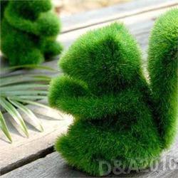 Симпатичные пушистики