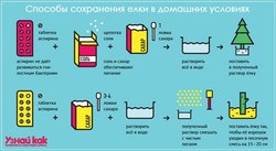 Продлеваем жизнь елке