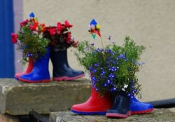 резиновые сапоги в роли клумбы