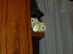 Гоблин из тыквы своими руками