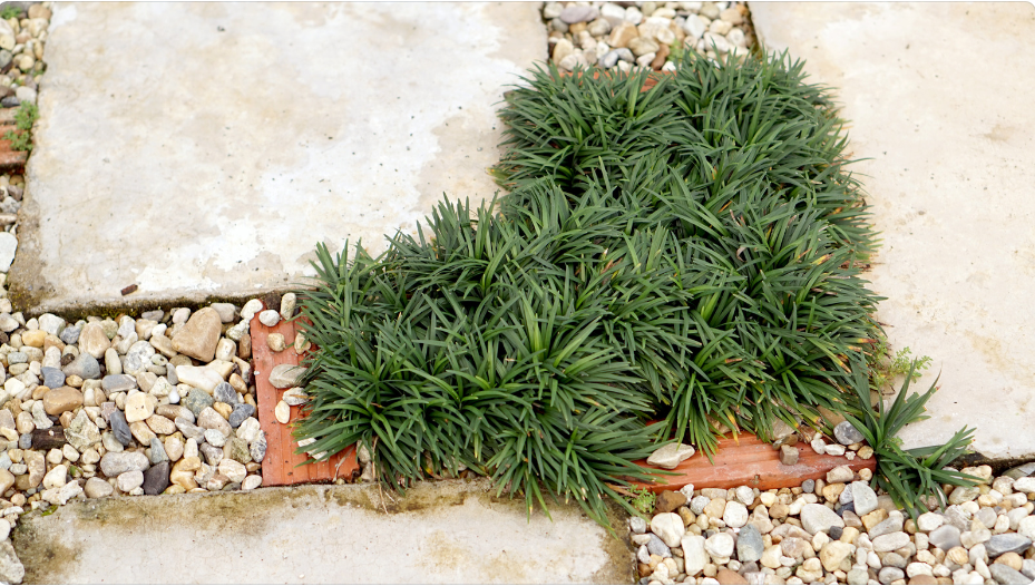 Камінь у ландшафтному дизайні: мозаїчні доріжки та майданчики Камінь у ландшафтному дизайні: мозаїчні доріжки та майданчики